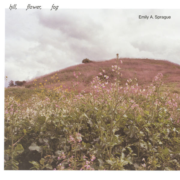 Emily A. Sprague – Hill, Flower, Fog (2020) [FLAC 24bit/44,1kHz]