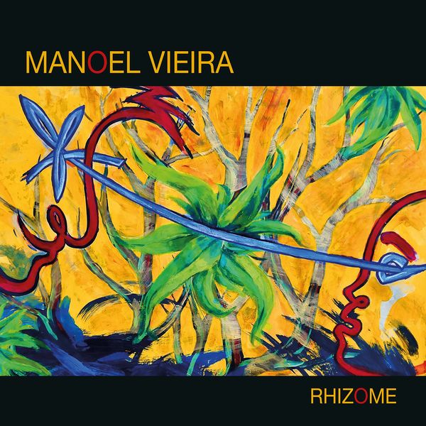 Manoel Vieira – Rhizome (2020) [FLAC 24bit/96kHz]