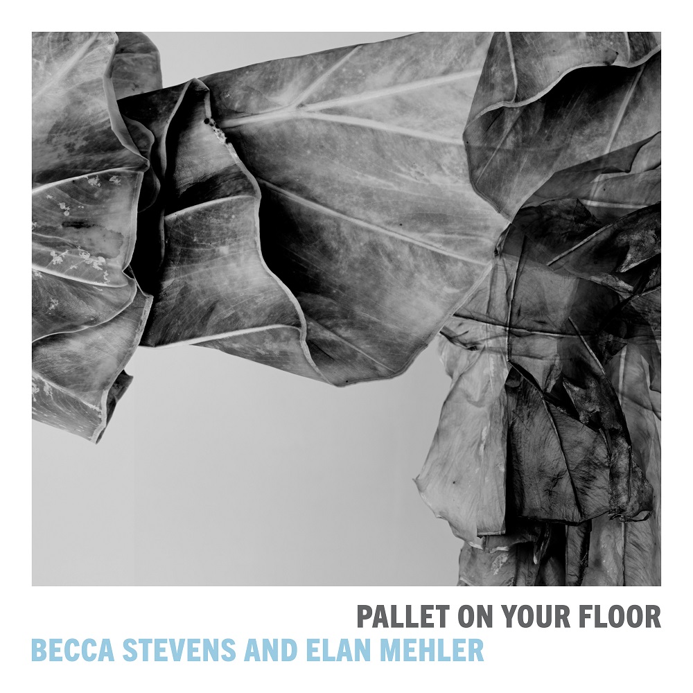 Becca Stevens & Elan Mehler - Pallet on Your Floor (2020) [FLAC 24bit/88,2kHz]