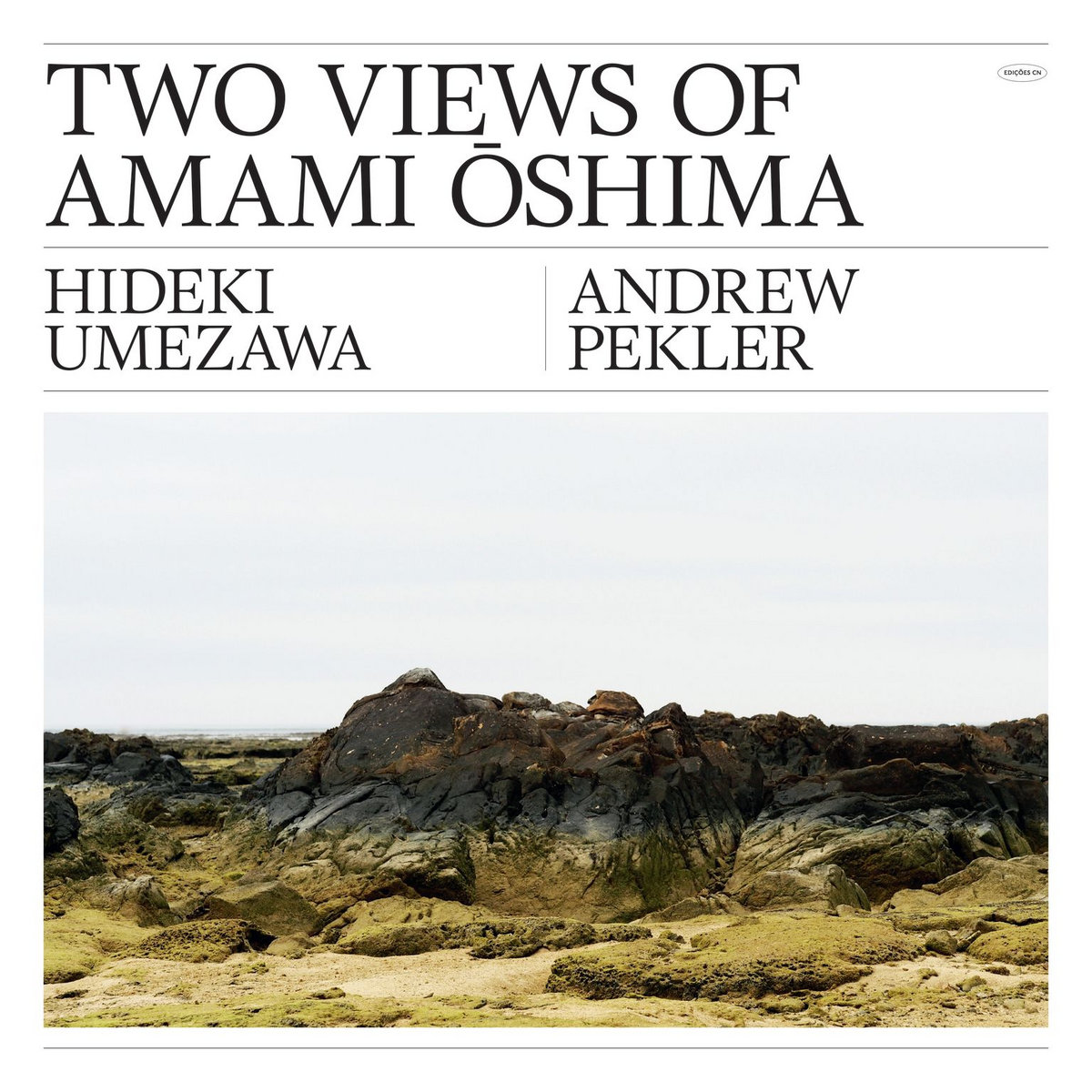 Hideki Umezawa & Andrew Pekler – Two Views of Amami Oshima (2020) [FLAC 24bit/48kHz]