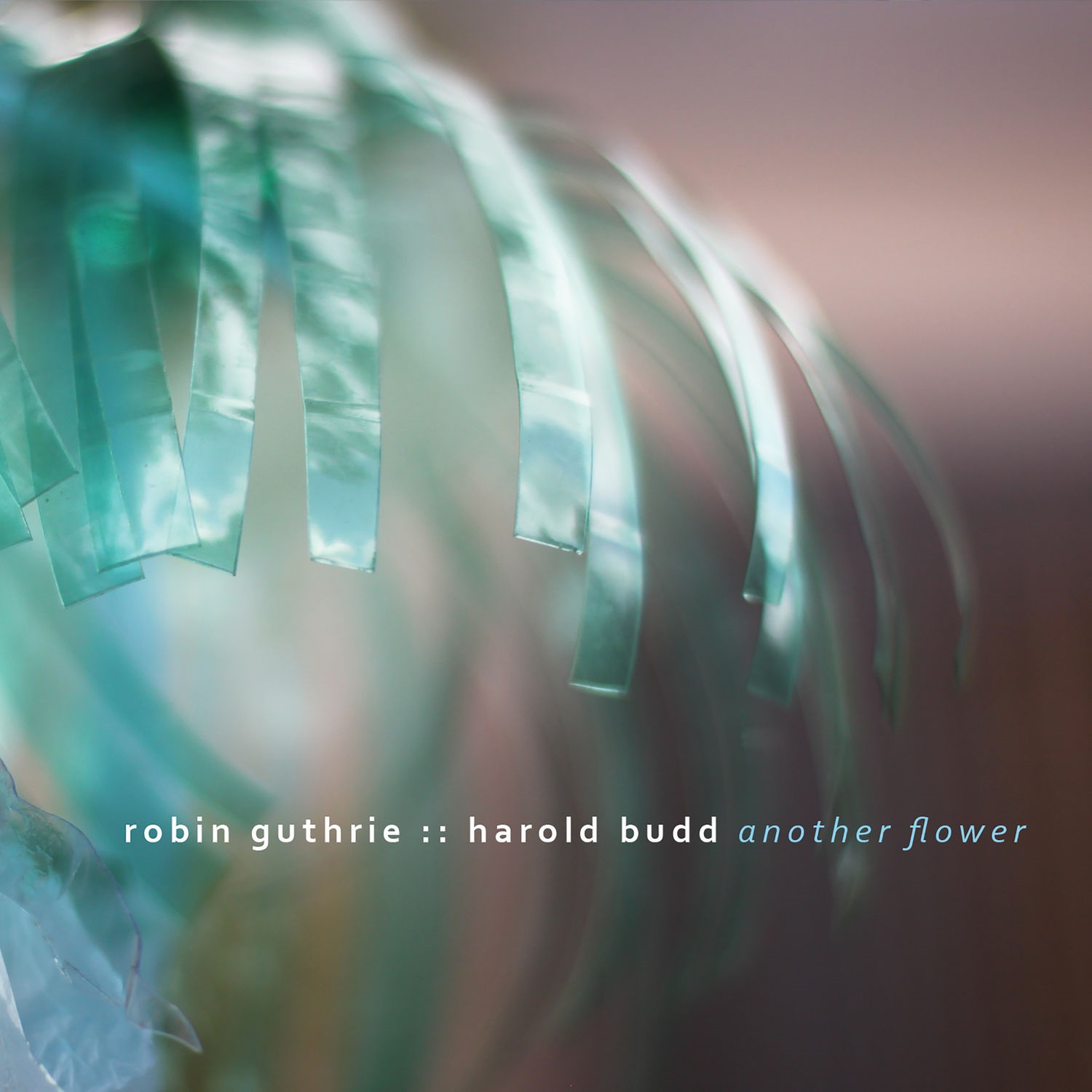 Robin Guthrie & Harold Budd – Another Flower (2020) [FLAC 24bit/44,1kHz]