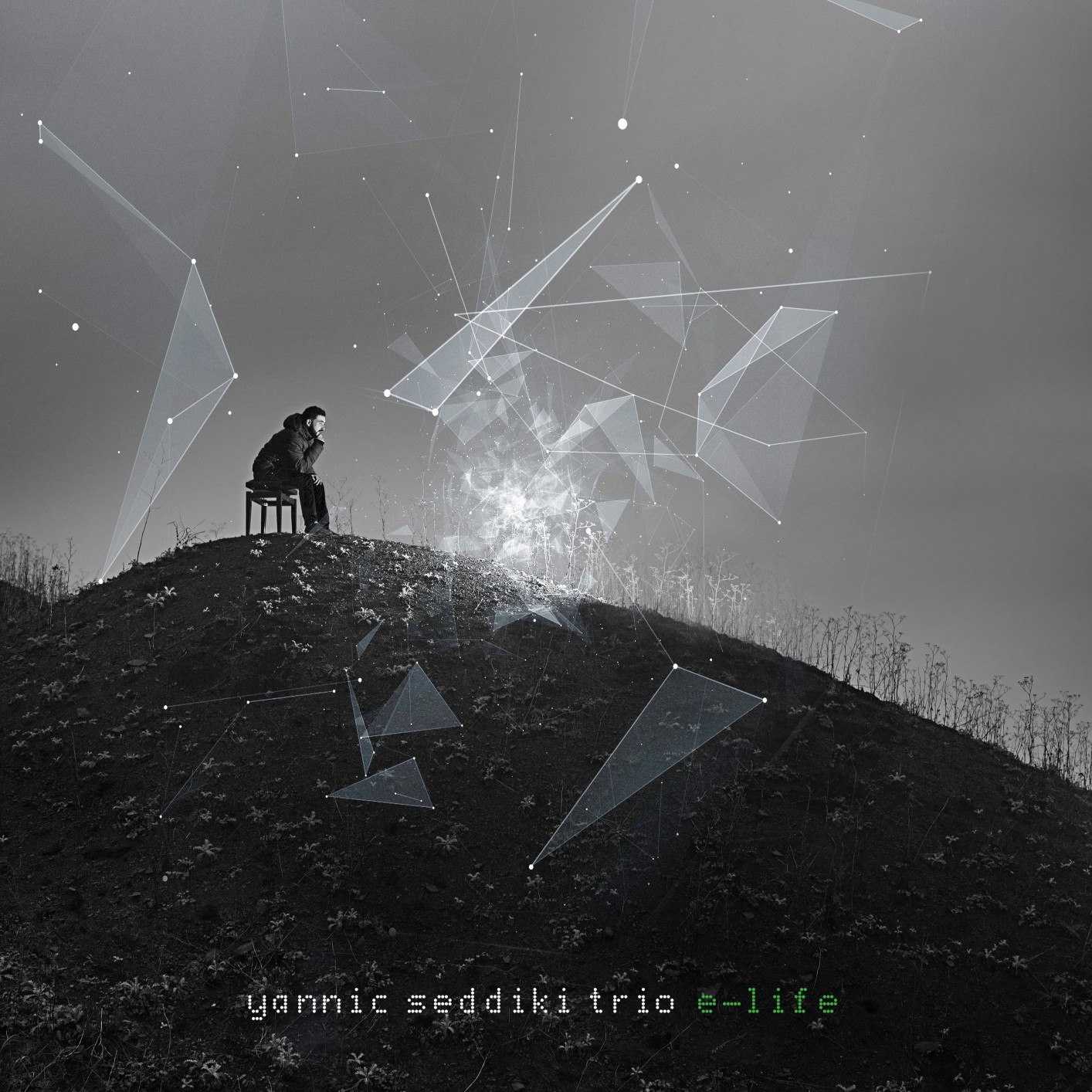 Yannic Seddiki Trio – E-Life (2020) [FLAC 24bit/88,2kHz]