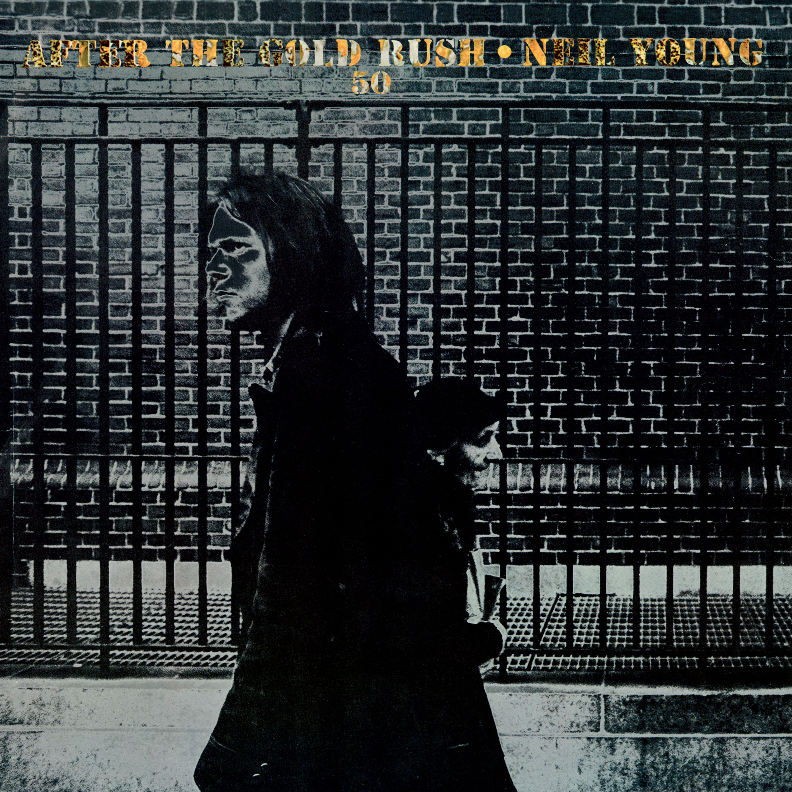 Neil Young - After The Gold Rush (50th Anniversary) (2020) [FLAC 24bit/192kHz]