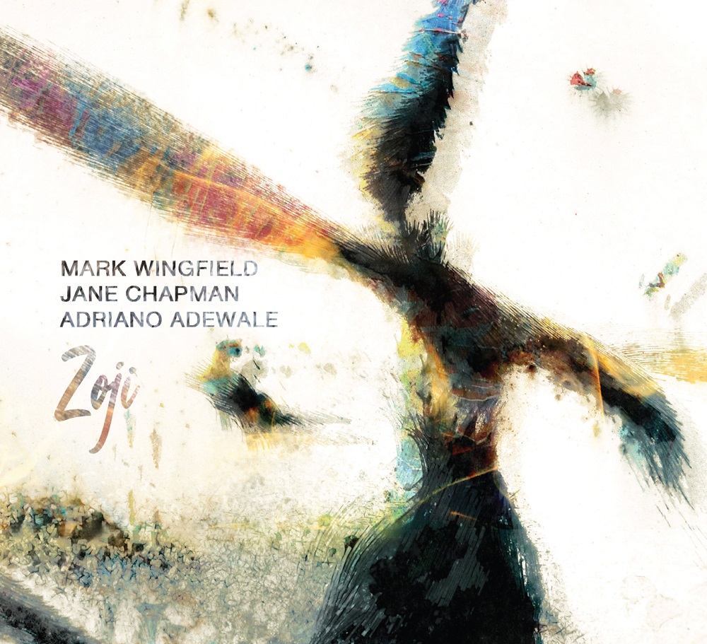Mark Wingfield, Jane Chapman & Adriano Adewale – Zoji (2021) [FLAC 24bit/88,2kHz]
