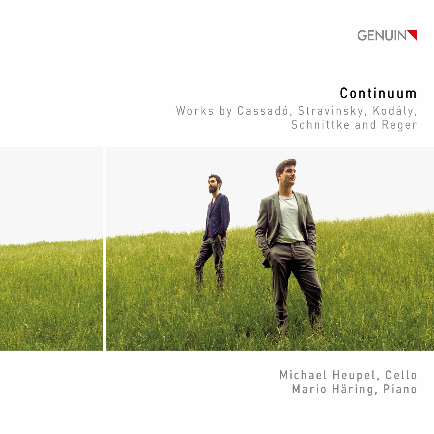 Michael Heupel & Martio Haring – Continuum (2021) [FLAC 24bit/96kHz]