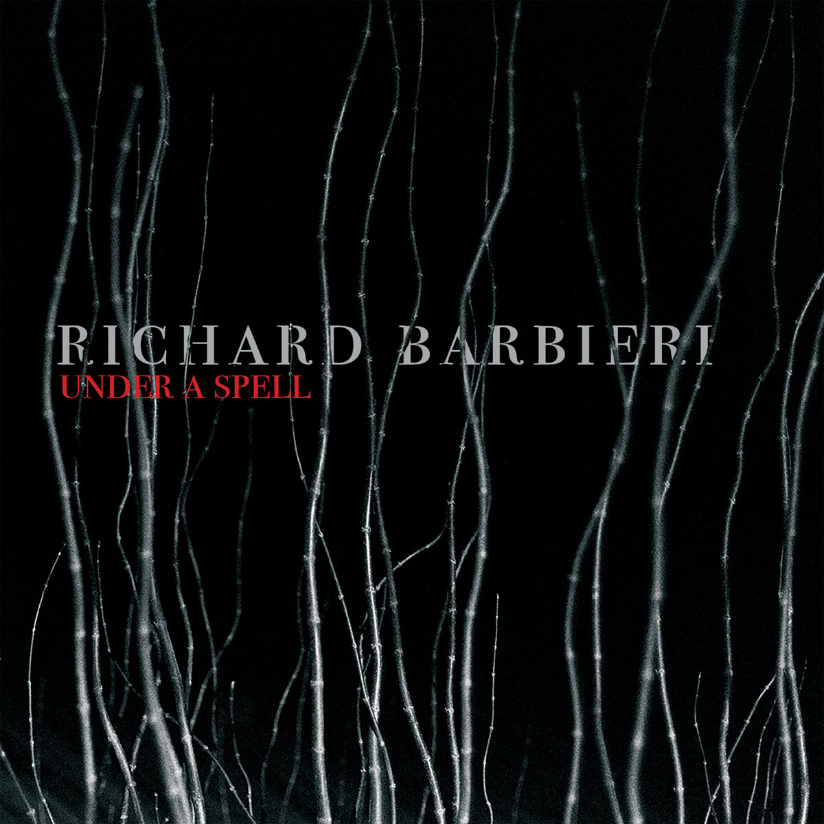 Richard Barbieri - Under a Spell (2021) [FLAC 24bit/44,1kHz]