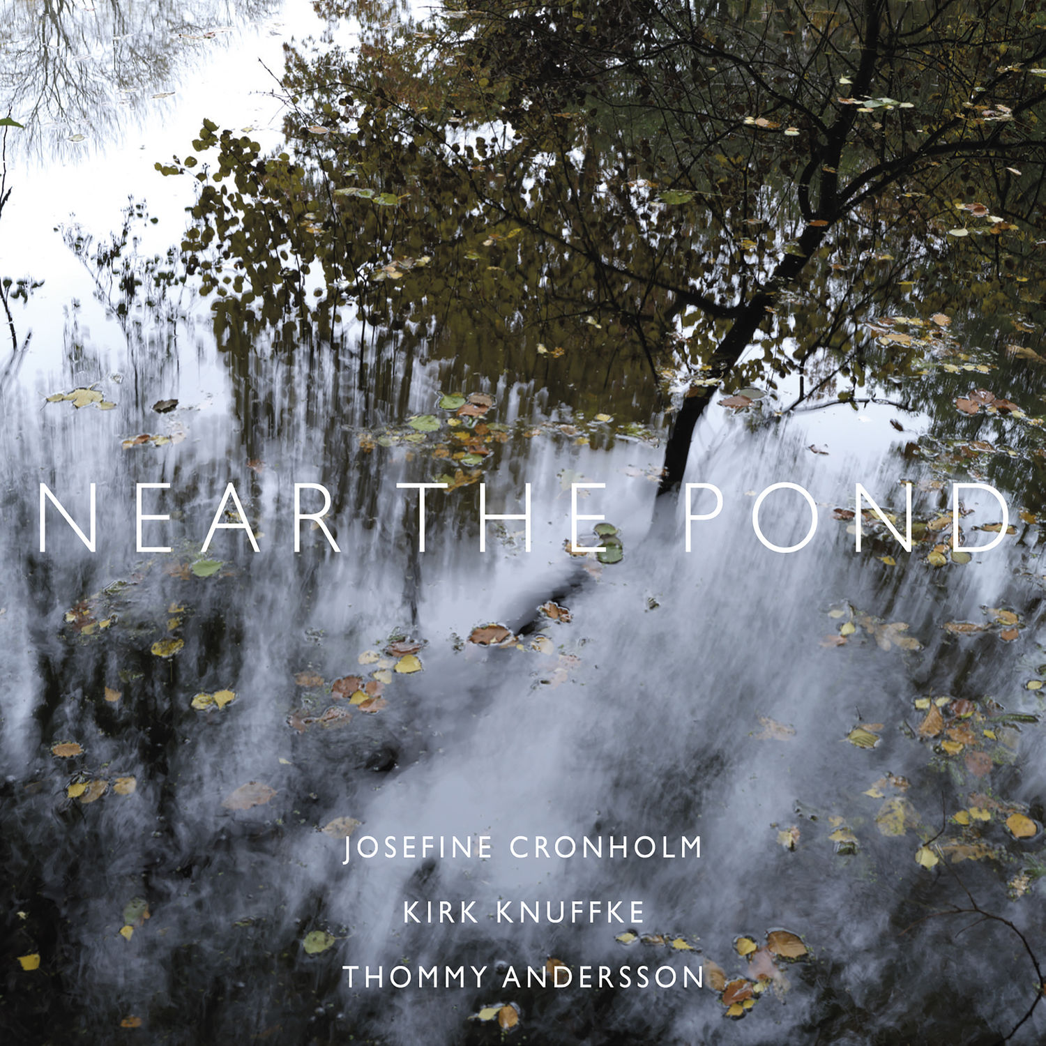 Josefine Cronholm - Near the Pond (2021) [FLAC 24bit/96kHz]