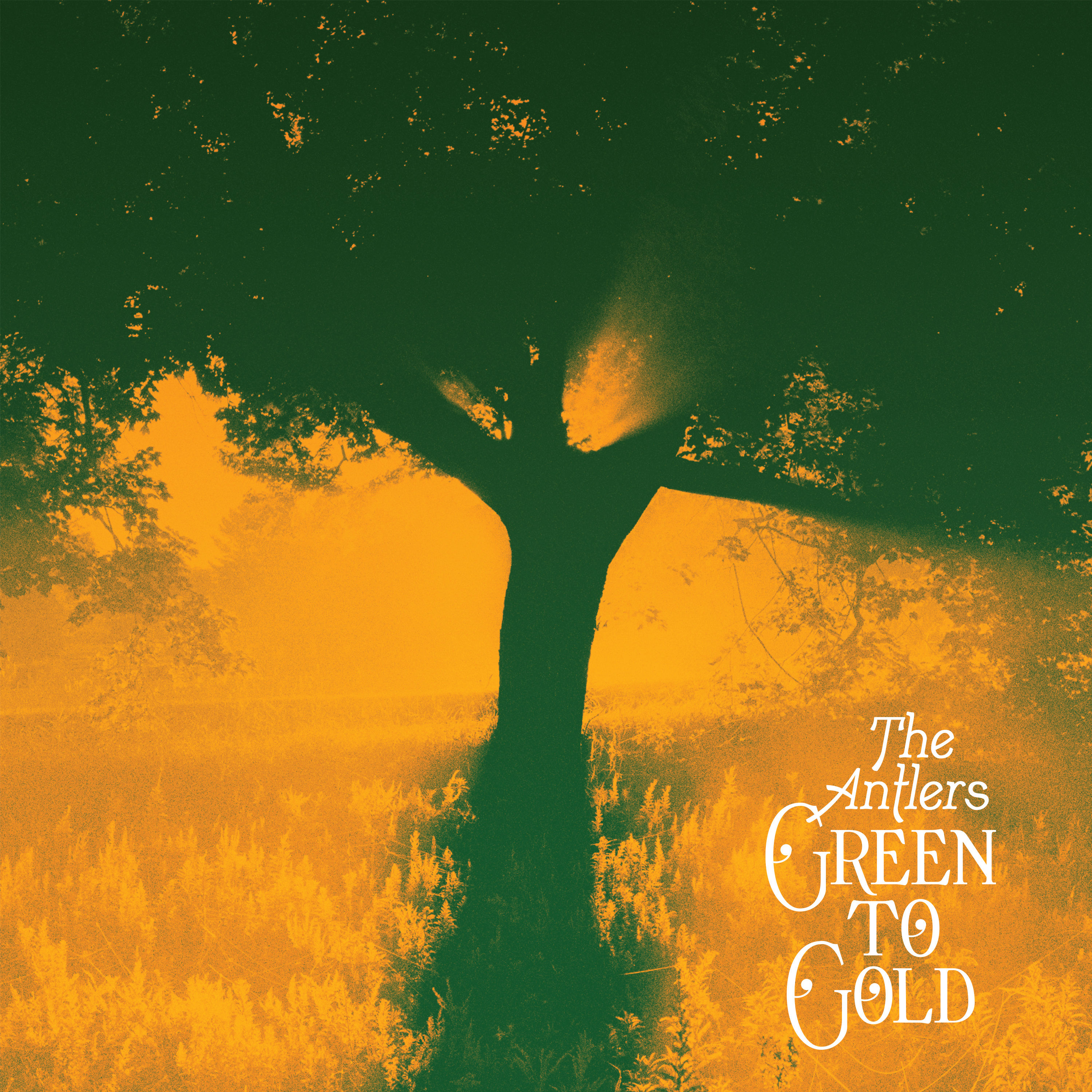 The Antlers – Green to Gold (2021) [FLAC 24bit/88,2kHz]