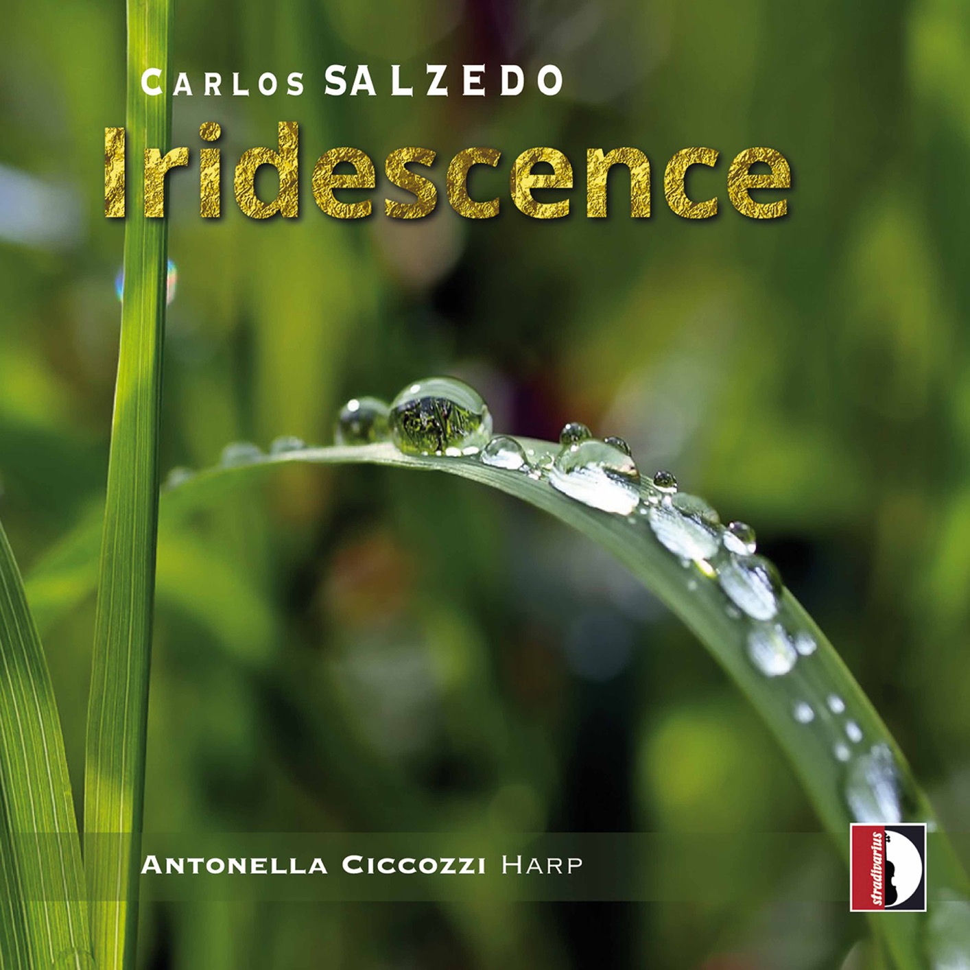 Antonella Ciccozzi – Iridescence (2021) [FLAC 24bit/88,2kHz]