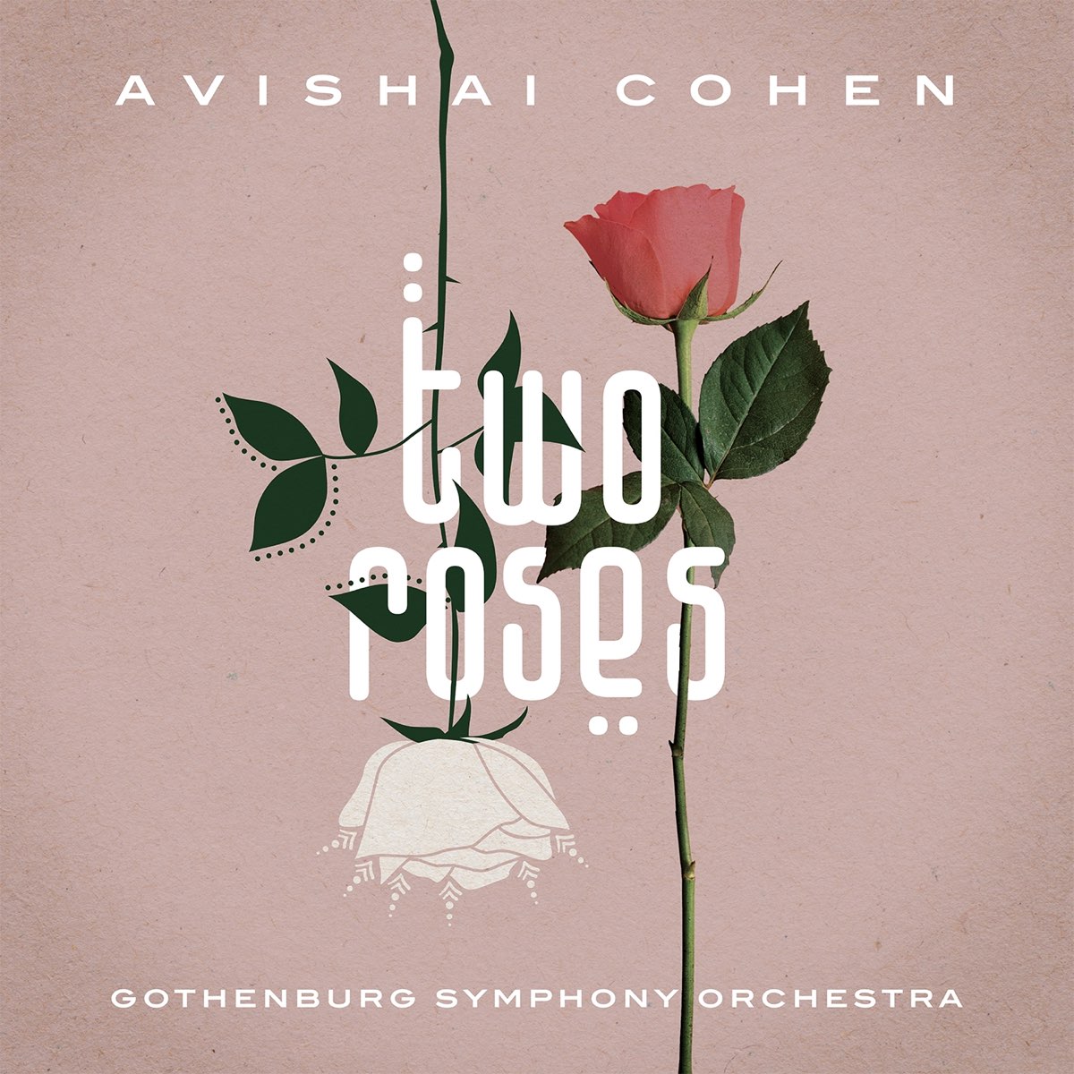 Avishai Cohen & Gothenburg Symphony Orchestra – Two Roses (2021) [FLAC 24bit/96kHz]