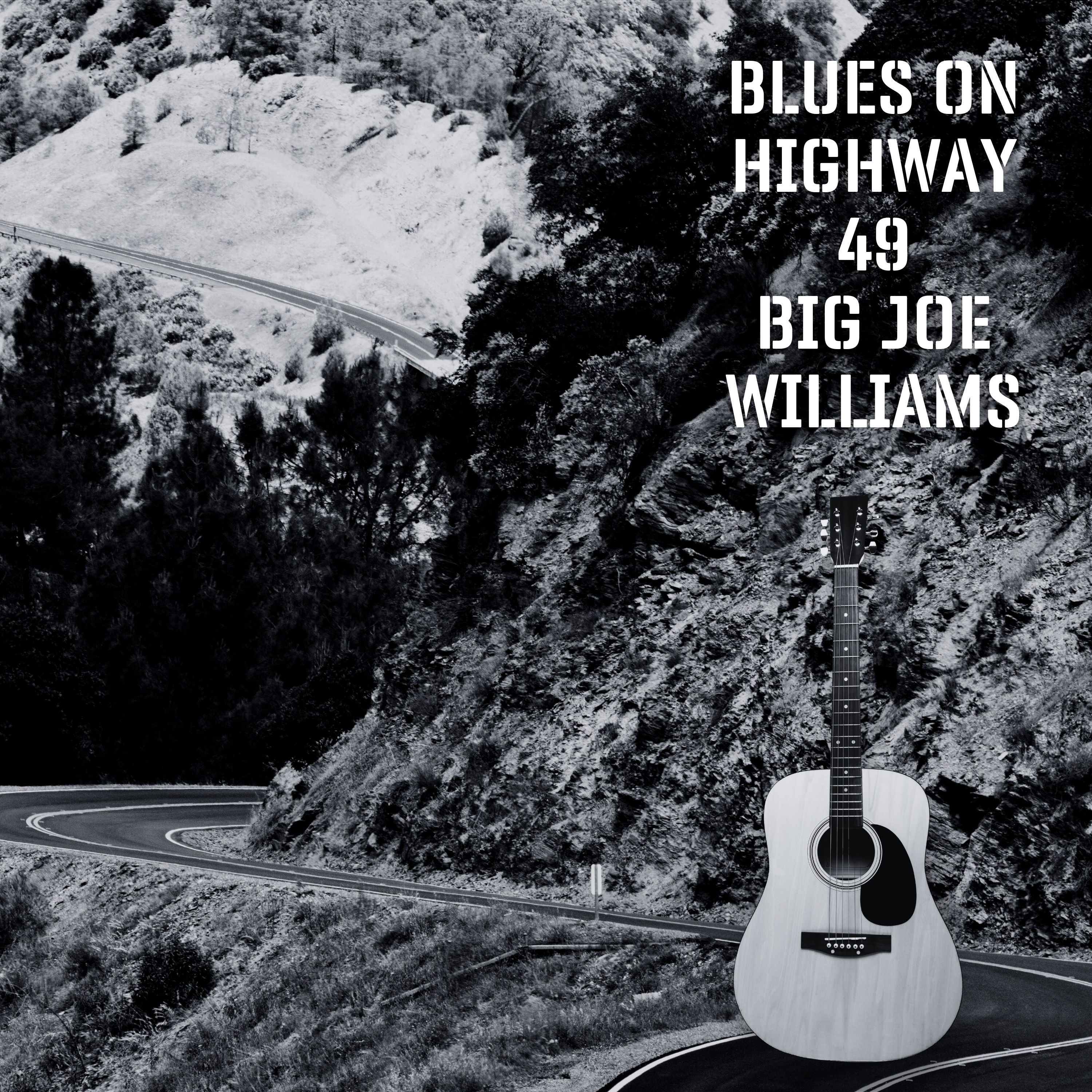Big Joe Williams - Blues On Highway (1962/2021) [FLAC 24bit/48kHz]