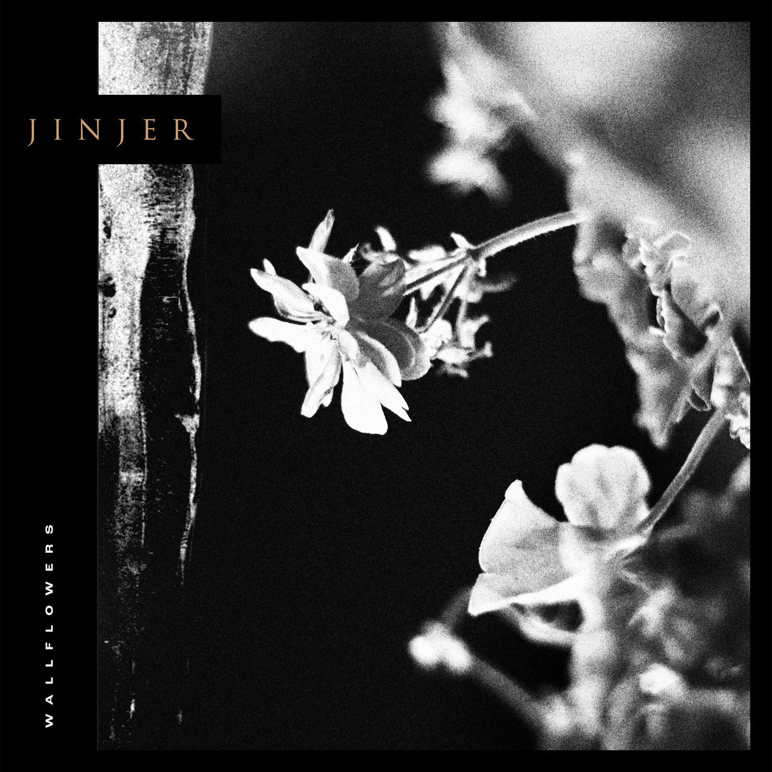 Jinjer – Wallflowers (2021) [FLAC 24bit/44,1kHz]