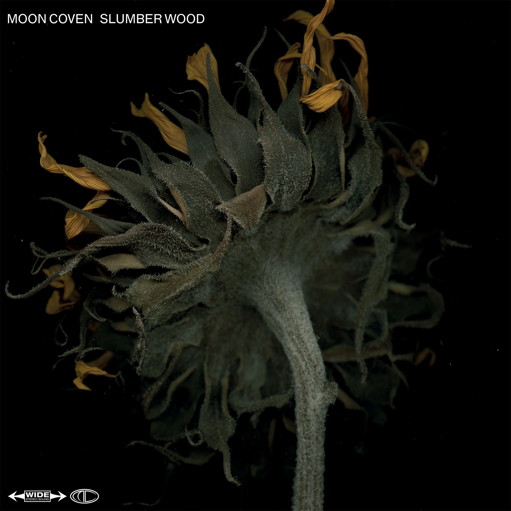 Moon Coven – Slumber Wood (2021) [FLAC 24bit/44,1kHz]