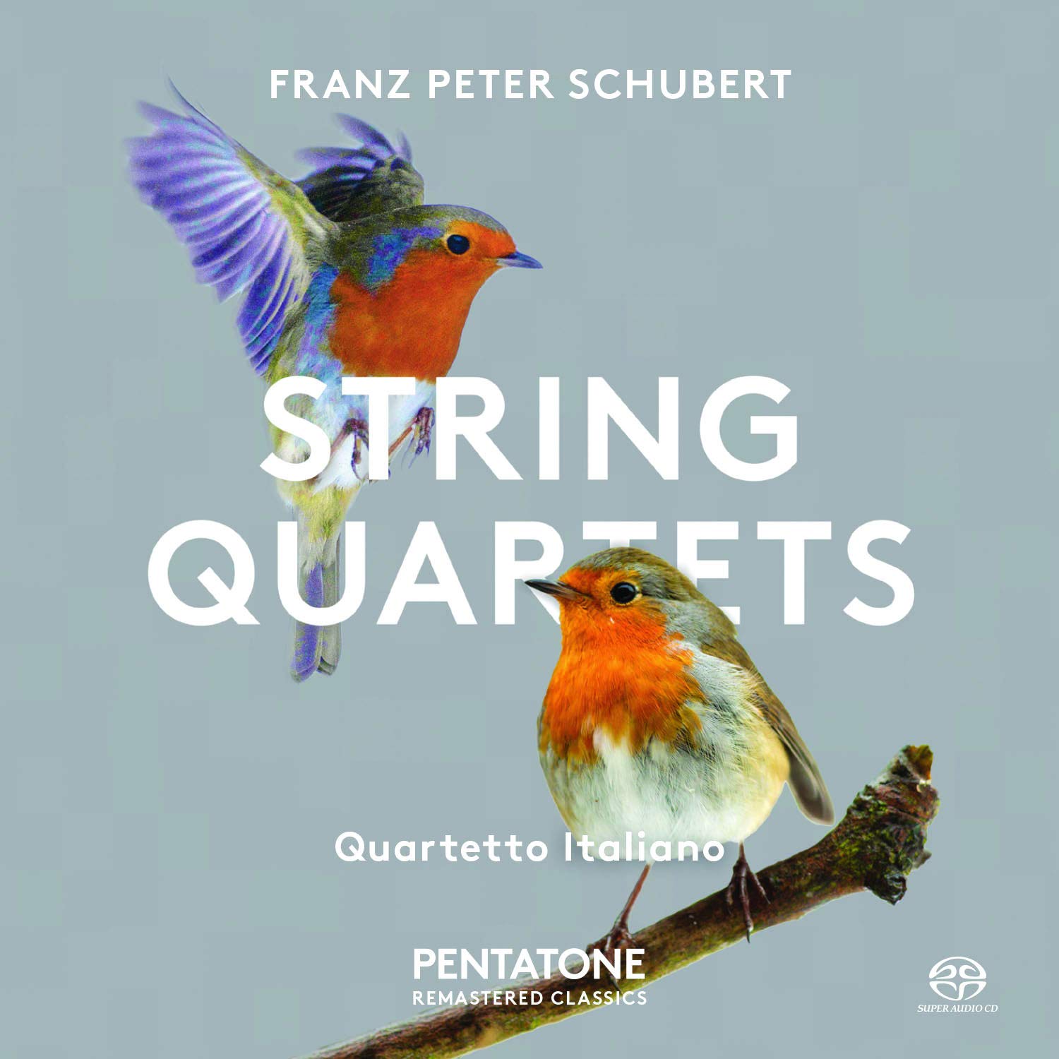 Quartetto Italiano - Schubert: String Quartets (1976) [Reissue 2016] MCH SACD ISO + DSF DSD64 + FLAC 24bit/96kHz