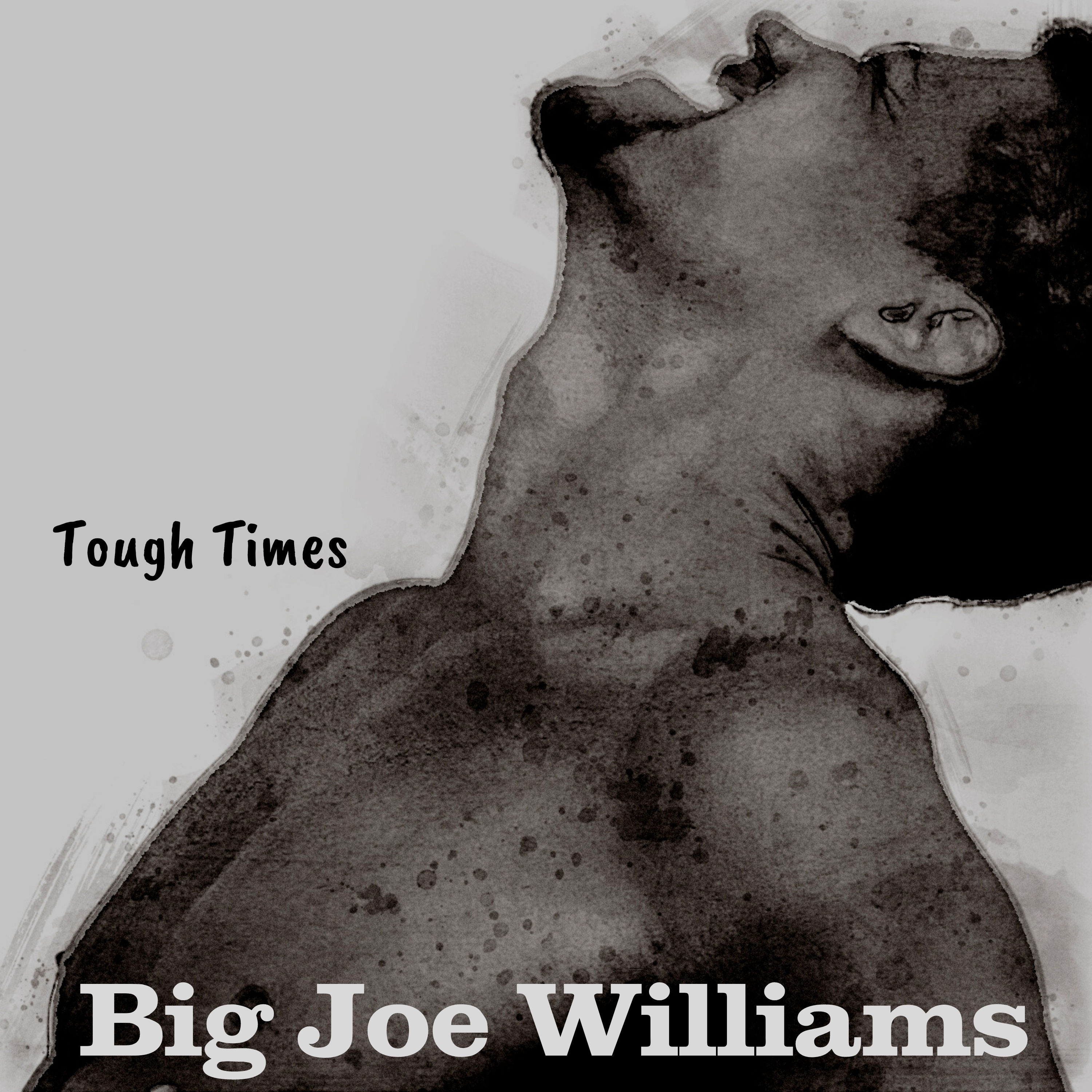 Big Joe Williams - Tough Times (1960/2021) [FLAC 24bit/48kHz]