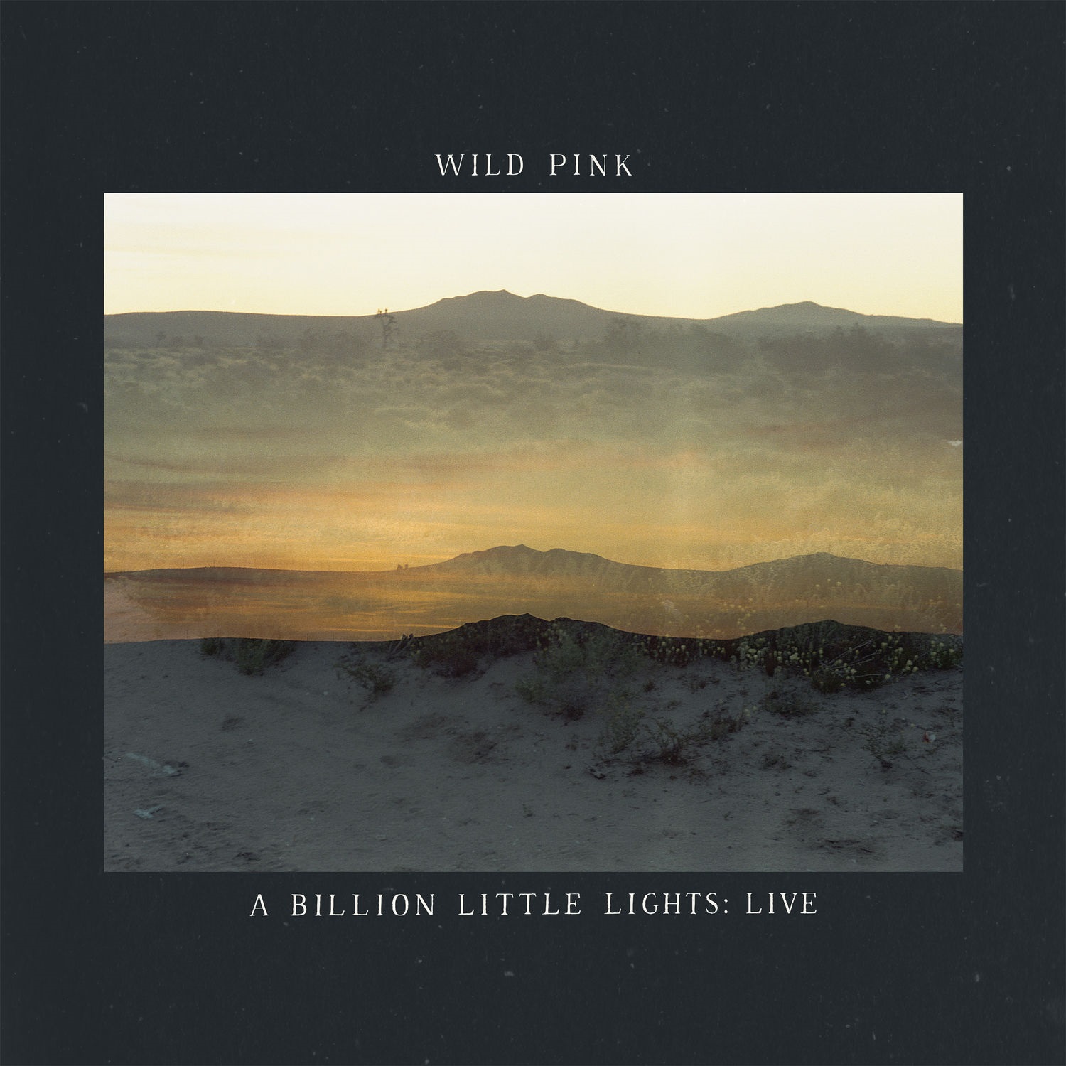 Wild Pink - A Billion Little Lights Live (2021) [FLAC 24bit/48kHz]