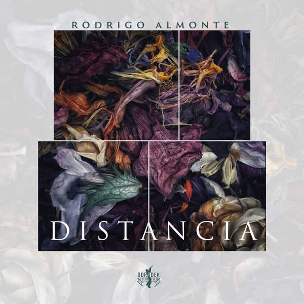 Rodrigo Almonte – Distancia (2021) [FLAC 24bit/88,2kHz]