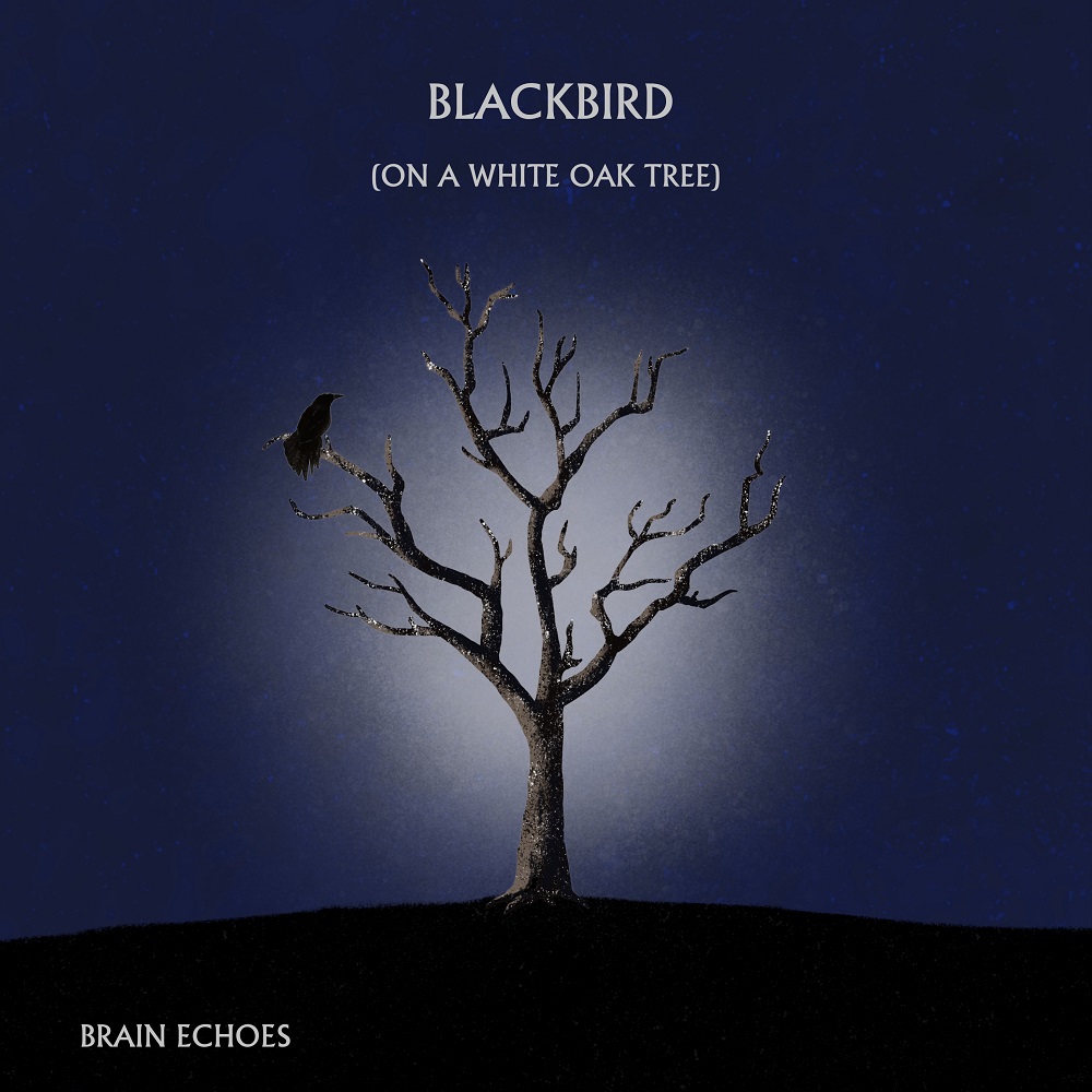 Brain Echoes – Blackbird (On A White Oak Tree) (2021) [FLAC 24bit/44,1kHz]