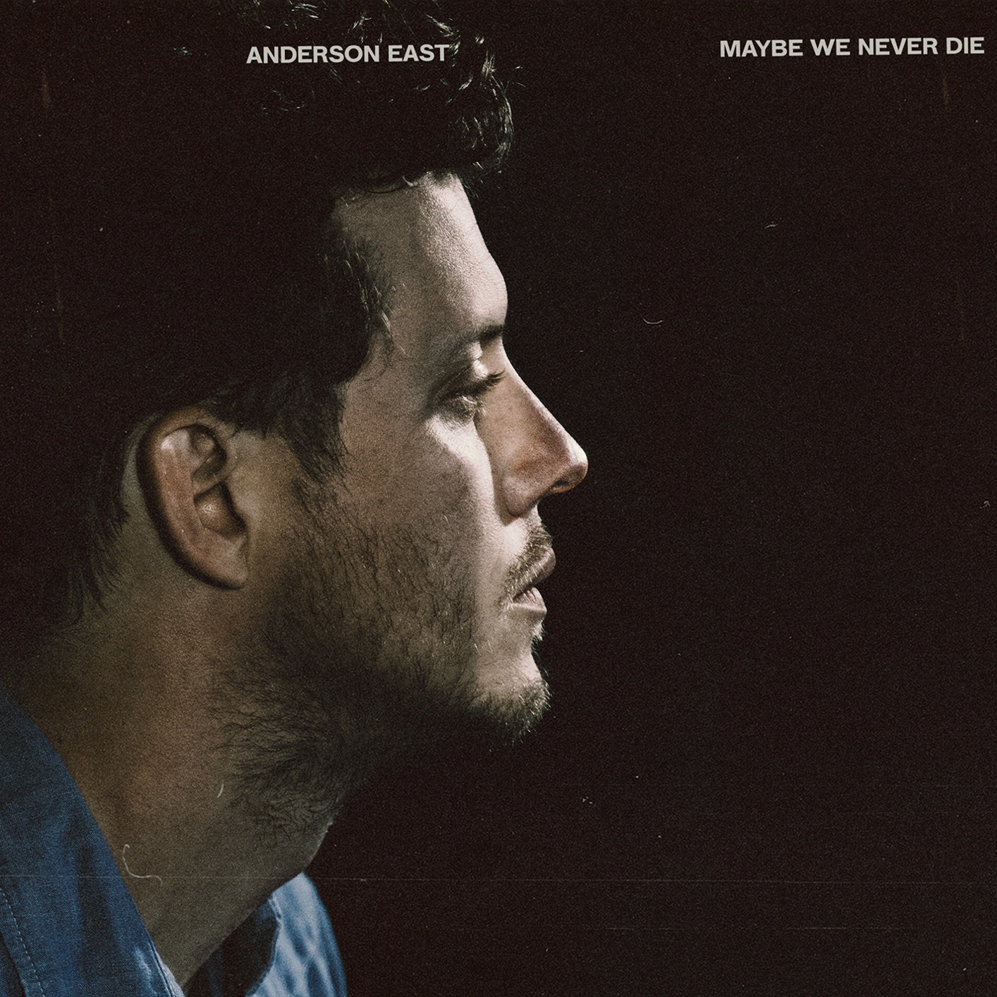 Anderson East - Maybe We Never Die (2021) [FLAC 24bit/96kHz]