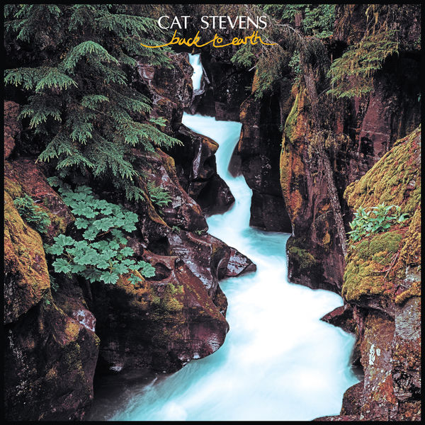 Cat Stevens – Back to Earth (1978/2019) [FLAC 24bit/96kHz]